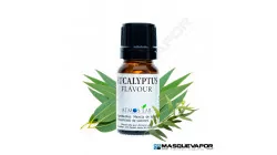 EUCALYPTUS FLAVOR ATMOS LAB