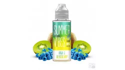 KIWI BLUEBERRY SUMMER VIBES 100ML