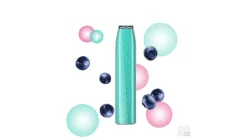 GEEK BAR DISPOSABLE POD BLUEBERRY BUBBLE GUM