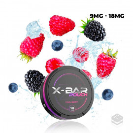 X-BAR POUCH COOL BERRY