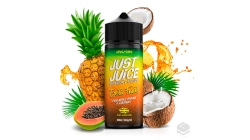 EXOTIC FRUITS PAPAYA PINEAPPLE & COCONUT JUST JUICE 100ML