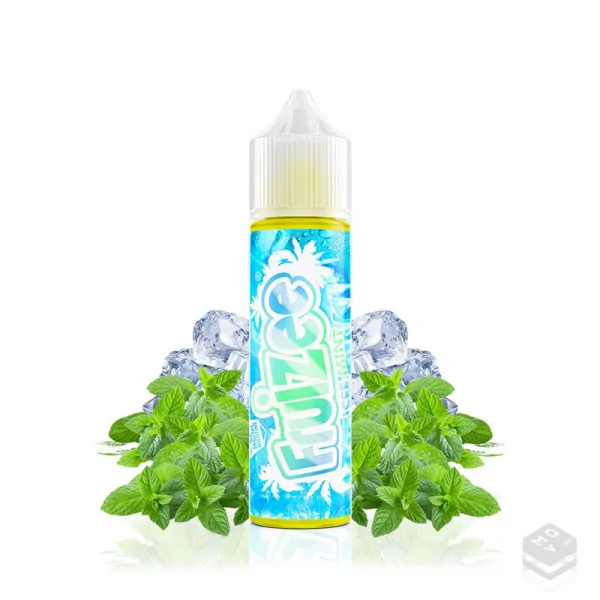 FLAVOUR ICEE MINT 10ML FRUIZEE LONGFILL