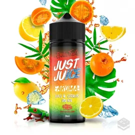 FLAVOUR EXOTIC FRUITS LULO & CITRUS ON ICE JUST JUICE 24ML LONGFILL