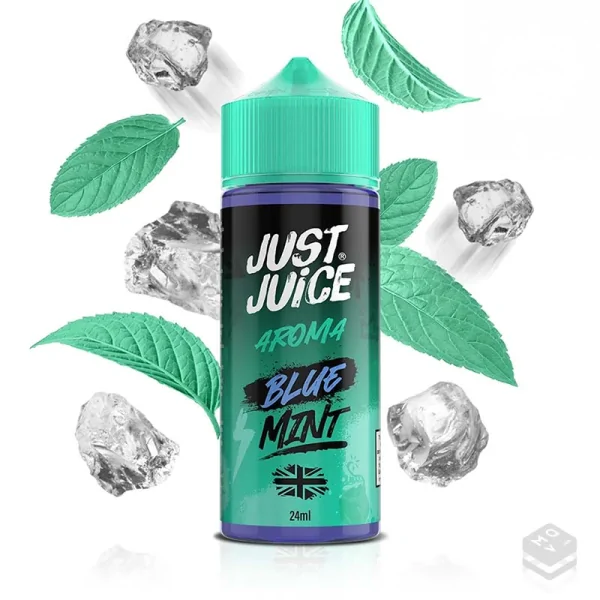 FLAVOUR BLUE MINT RANGE JUST JUICE 24ML LONGFILL
