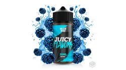 FLAVOUR BLUE RAZZ JUICY FLAVORS 30ML LONGFILL