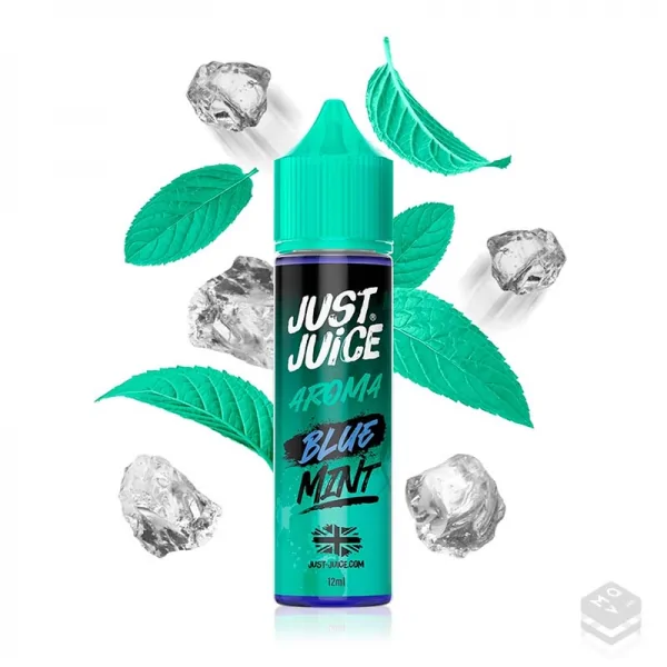 FLAVOUR BLUE MINT RANGE JUST JUICE 12ML LONGFILL