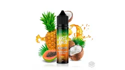 FLAVOUR EXOTIC FRUITS PAPAYA PINEAPPLE & COCONUT JUST JUICE 12ML LONGFILL