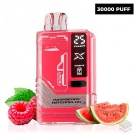 DISPOSABLE VAPE RASPBERRY WATERMELON GUDBAR X-ULTRA 0MG