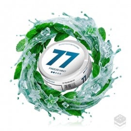 BOLSITA DE NICOTINA FREEZE MINT 77 NICOTINE POUCHES
