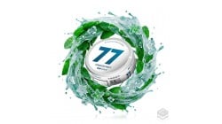 BOLSITA DE NICOTINA FREEZE MINT 77 NICOTINE POUCHES