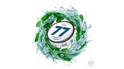 NICOTINE POUCHES FREEZE MINT GHOST MINI 77 NICOTINE POUCHES